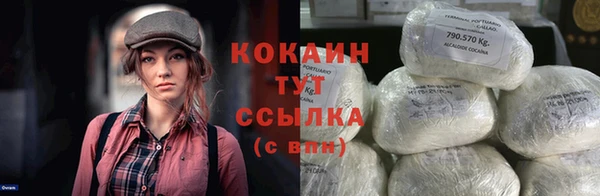 стаф Вязьма