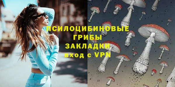 стаф Вязьма