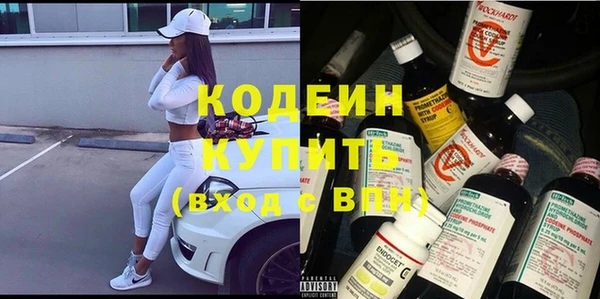 стаф Вязьма